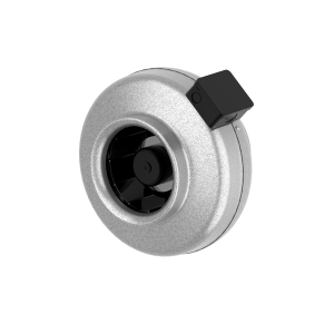 CK 200 A1 EC-y1