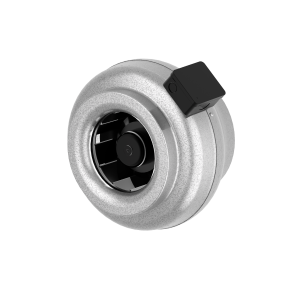 CK 250 A1 EC-y1